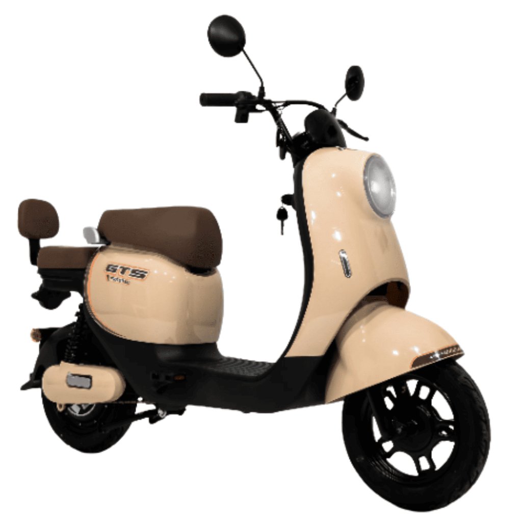 Scooter Retro 500w GTS Premiun